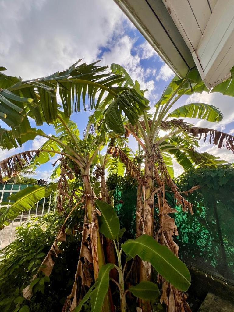 Superbe Villa Bwa Lele Riviere-Salee Ngoại thất bức ảnh